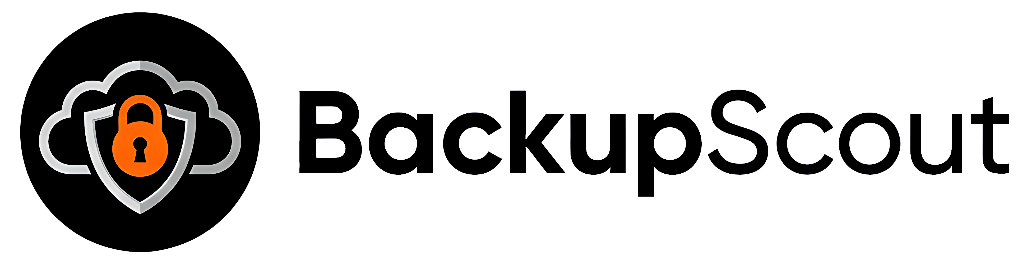 BackupScout